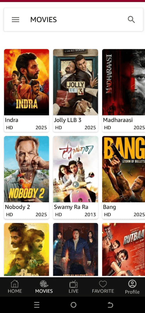 WhatsApp Image 2025 05 17 at 2.45.30 PM 3